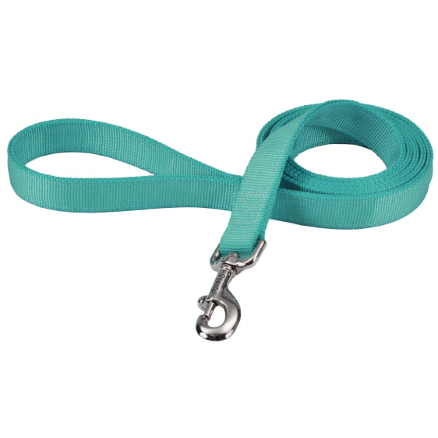 double nylon dog leash